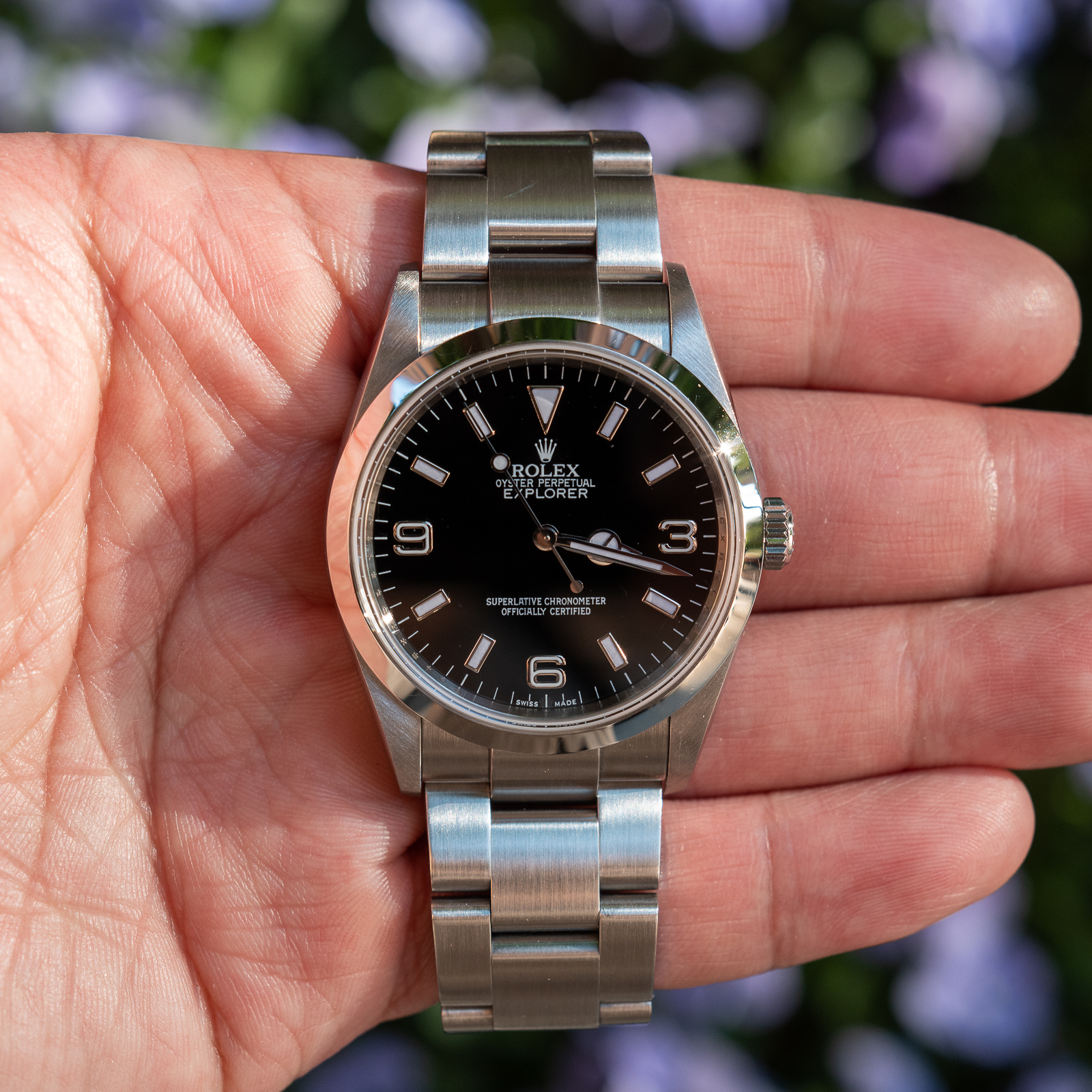 Rolex Explorer | Crowned Koi | Crowned Koi