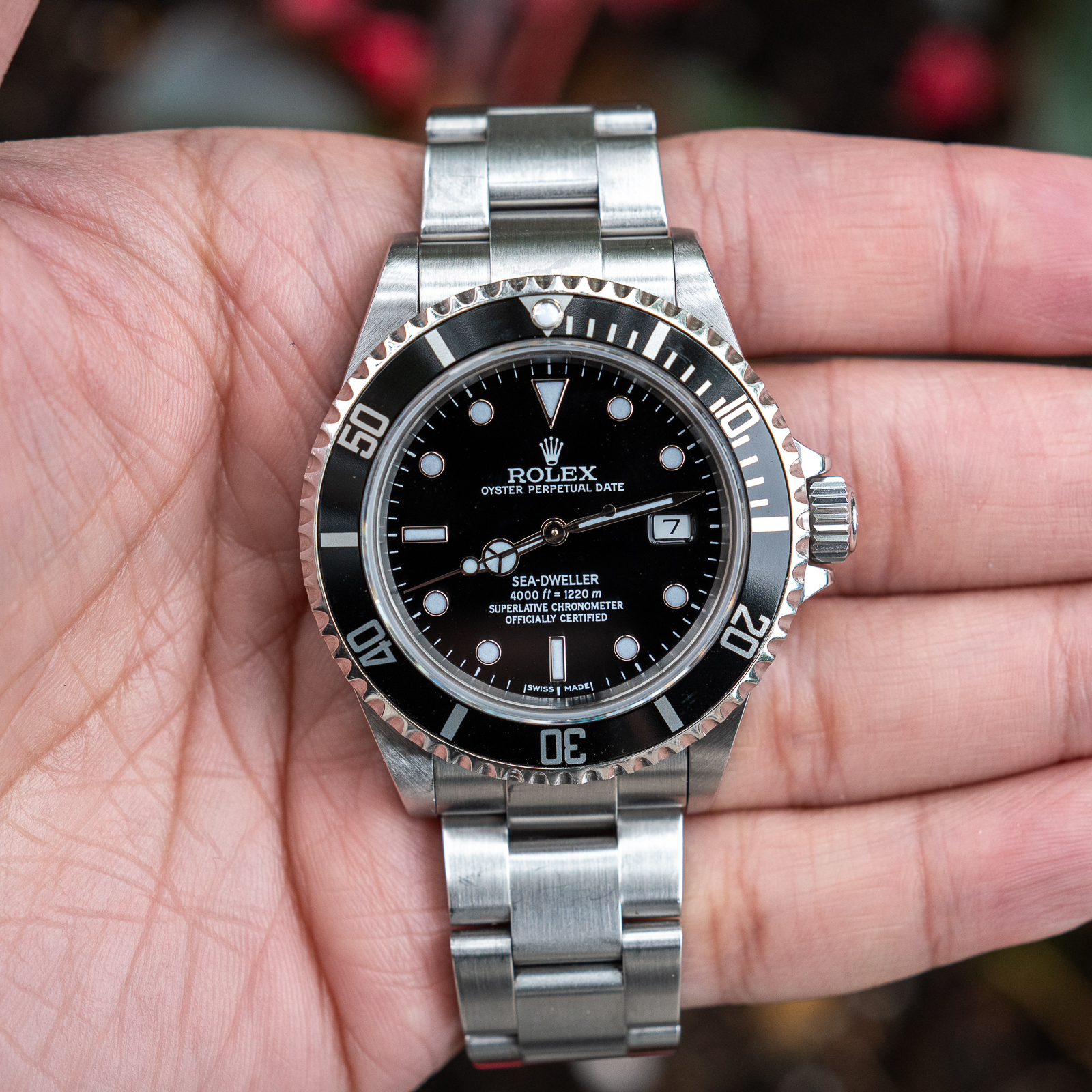 Rolex Sea-Dweller | Crowned Koi | Crowned Koi