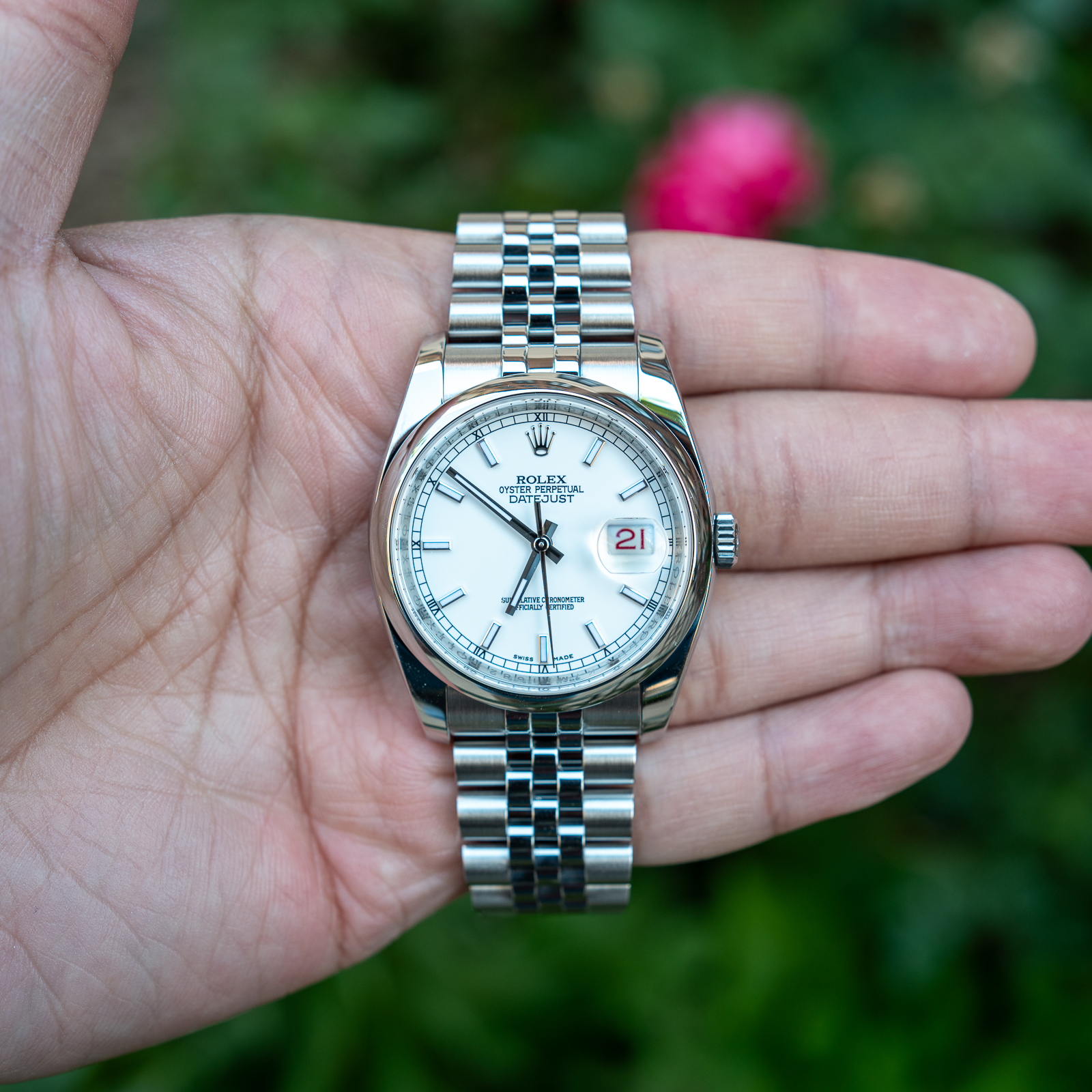 Rolex Datejust | Crowned Koi | Crowned Koi